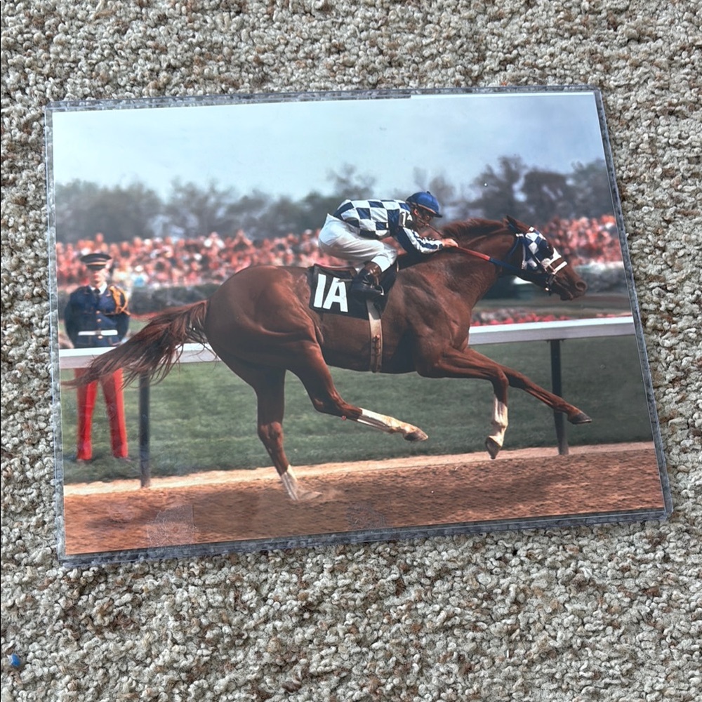 Original secretariat photo second hand find